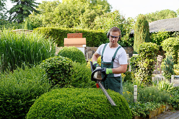 Best Lawn Mowing  in Greenwood, MS